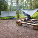 Camping,In,The,Forest,With,Hammocks